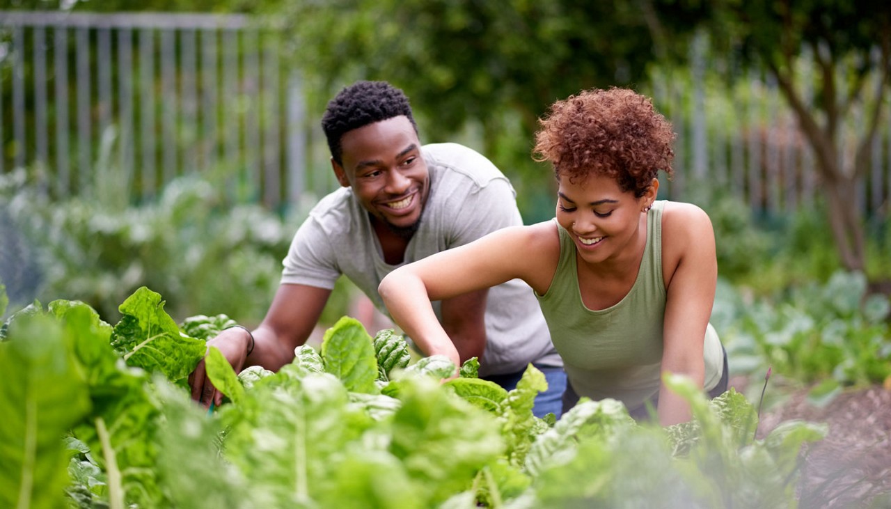 A young couple working in their garden.
