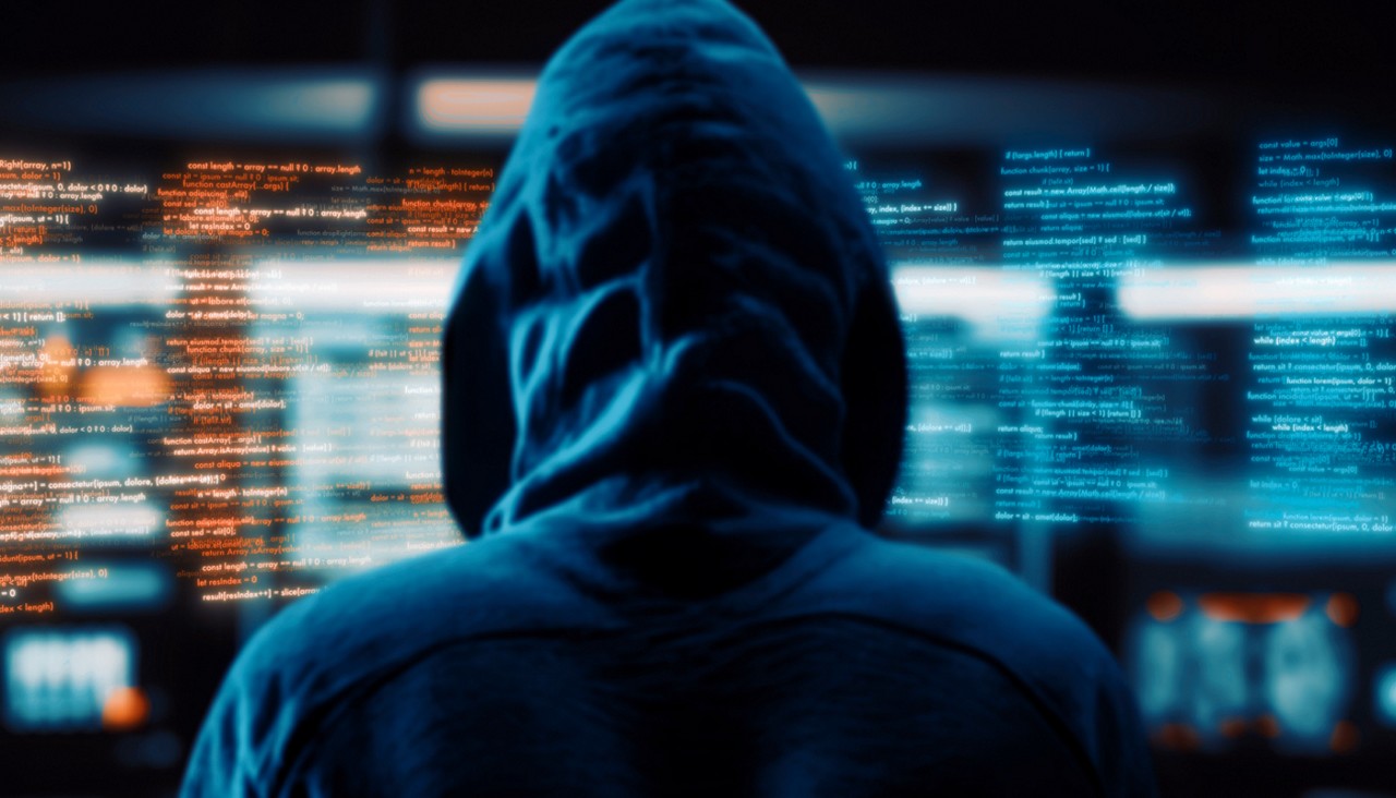 Back view of computer hacker