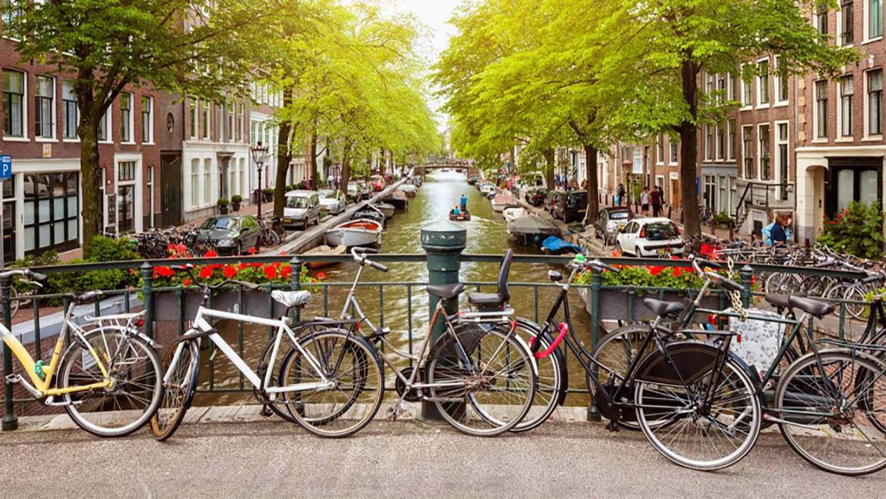 Cycles on bridge