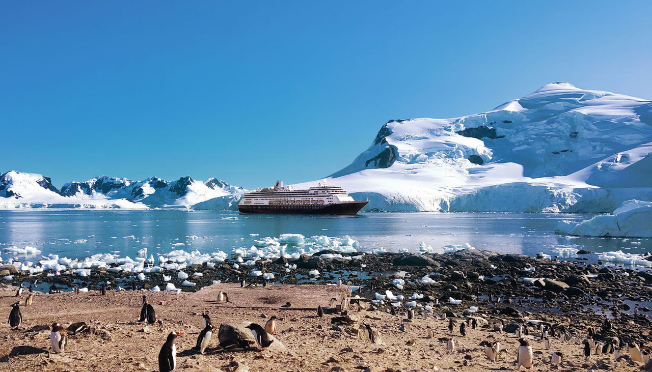 A cruise ship in a bay surrounded by ice and penguins