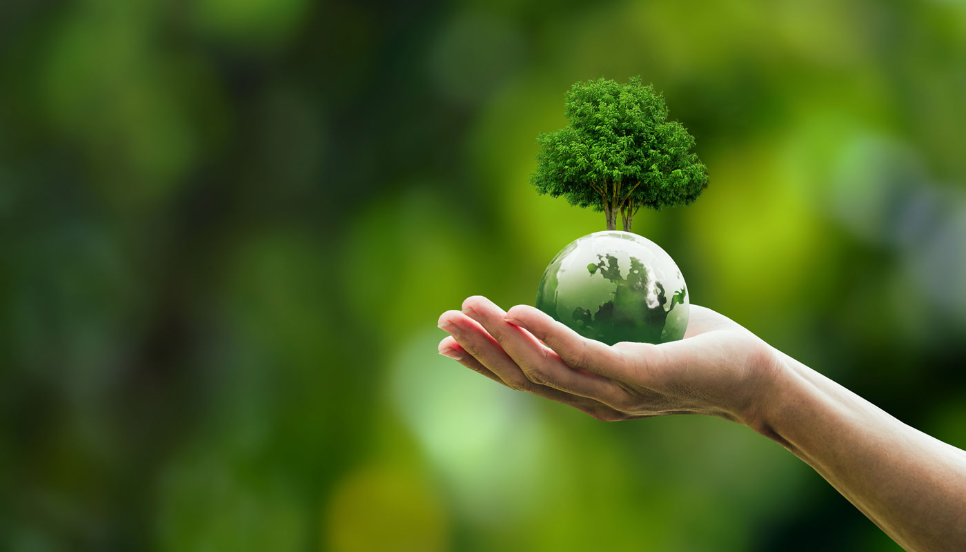 AAA Member Exclusives: Eco-Friendly Discounts