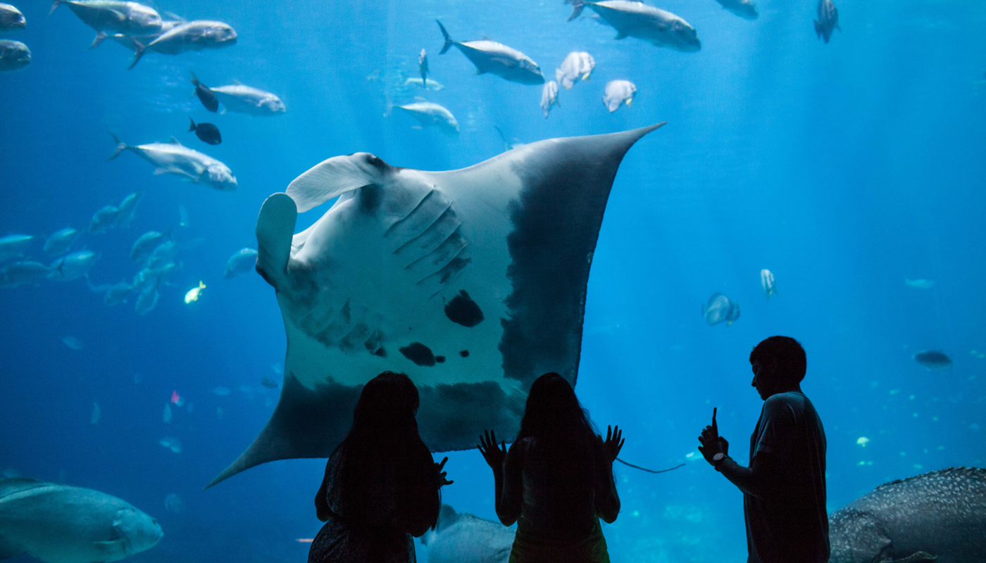 Atlanta’s Top Stops for an Unforgettable Adventure