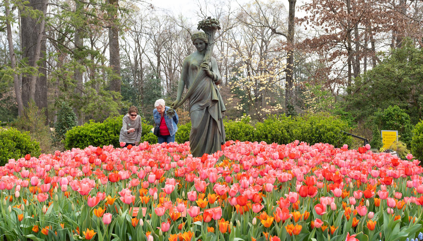  Serenity in Memphis’ Green Spaces