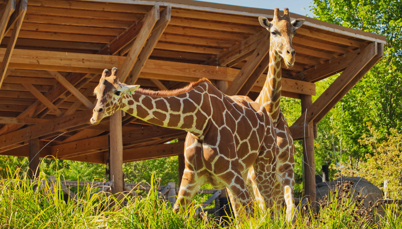 The Ultimate Omaha Family Trip Itinerary