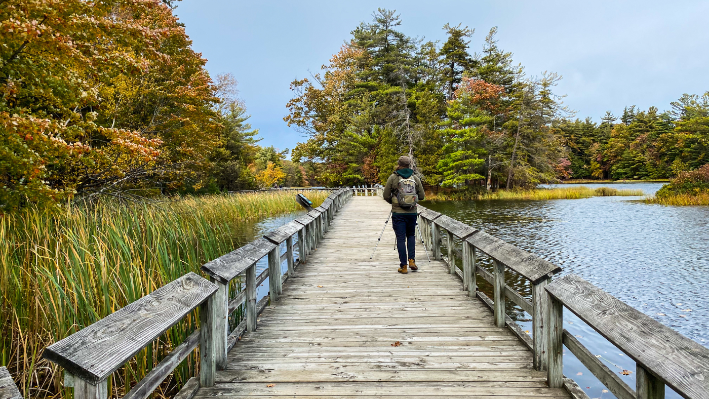 Savor the Slow Pace of Autumn in Pure Ludington