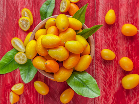 Annual Kumquat Festival -- Dade City