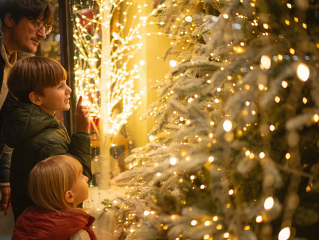 Geneva Chamber’s Christmas Walk  -- Geneva
