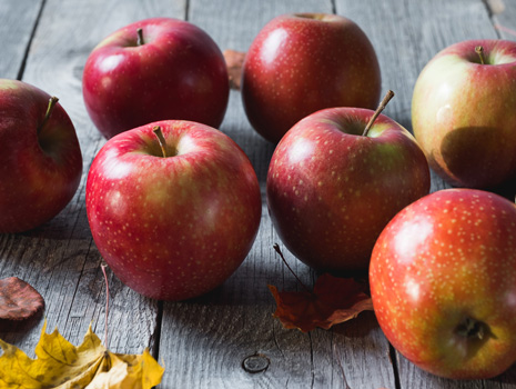 Georgia Apple Festival -- Ellijay